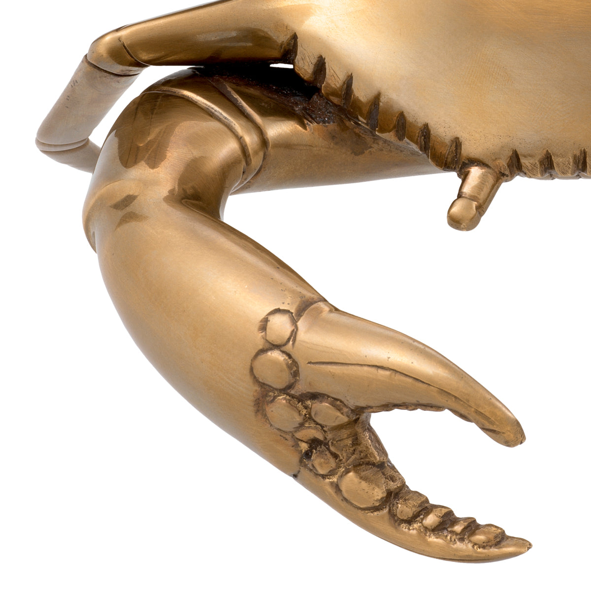 Object Eichholtz Crab