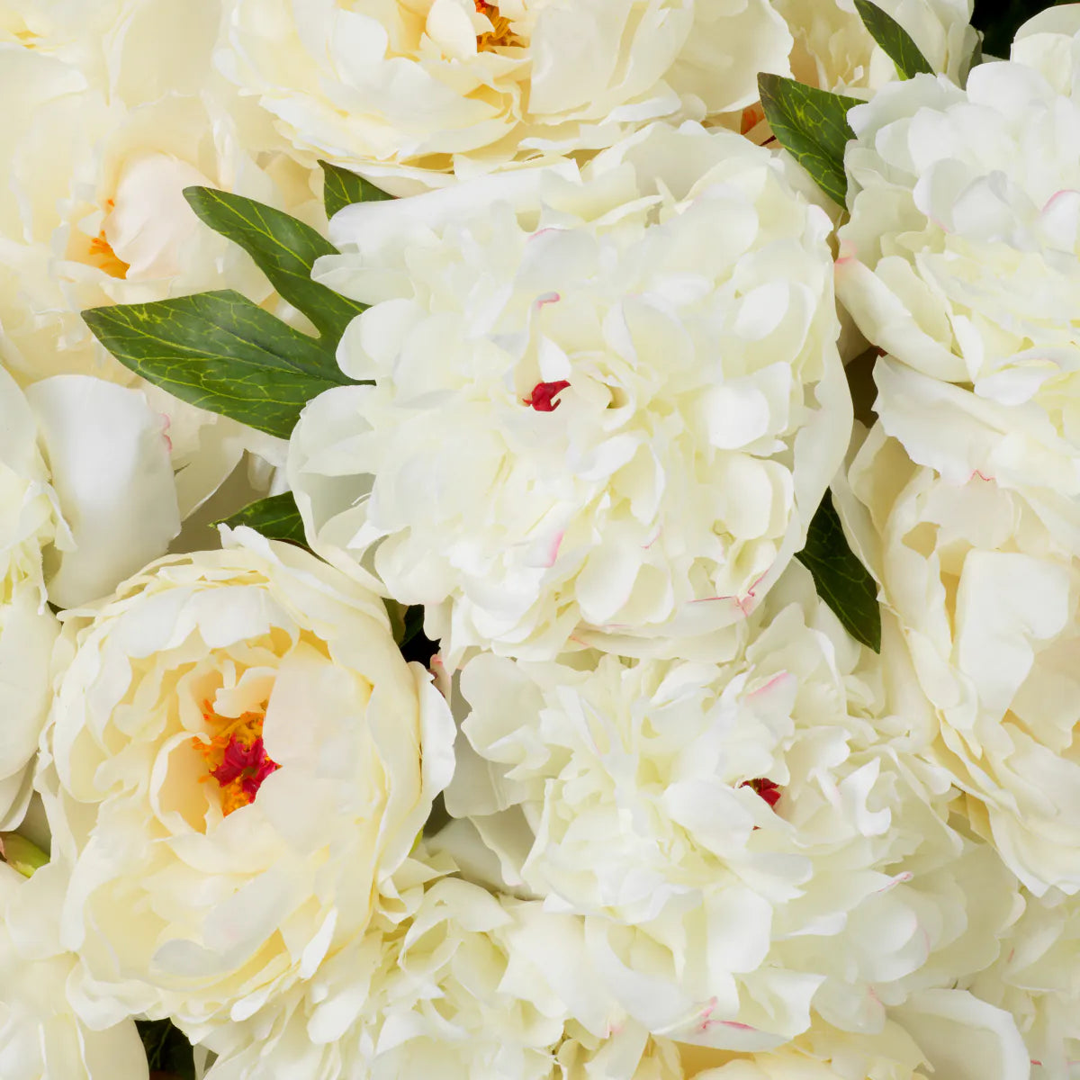 Eichholtz Bouquet Pfingstrosen Rosen 48 Stück weiß