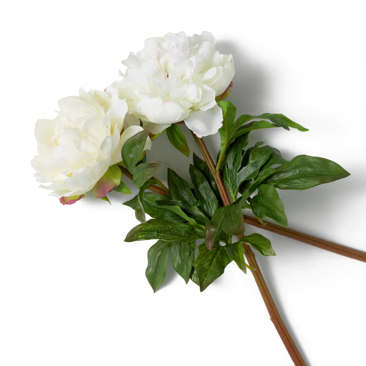 Eichholtz Bouquet Pfingstrosen Rosen 48 Stück weiß
