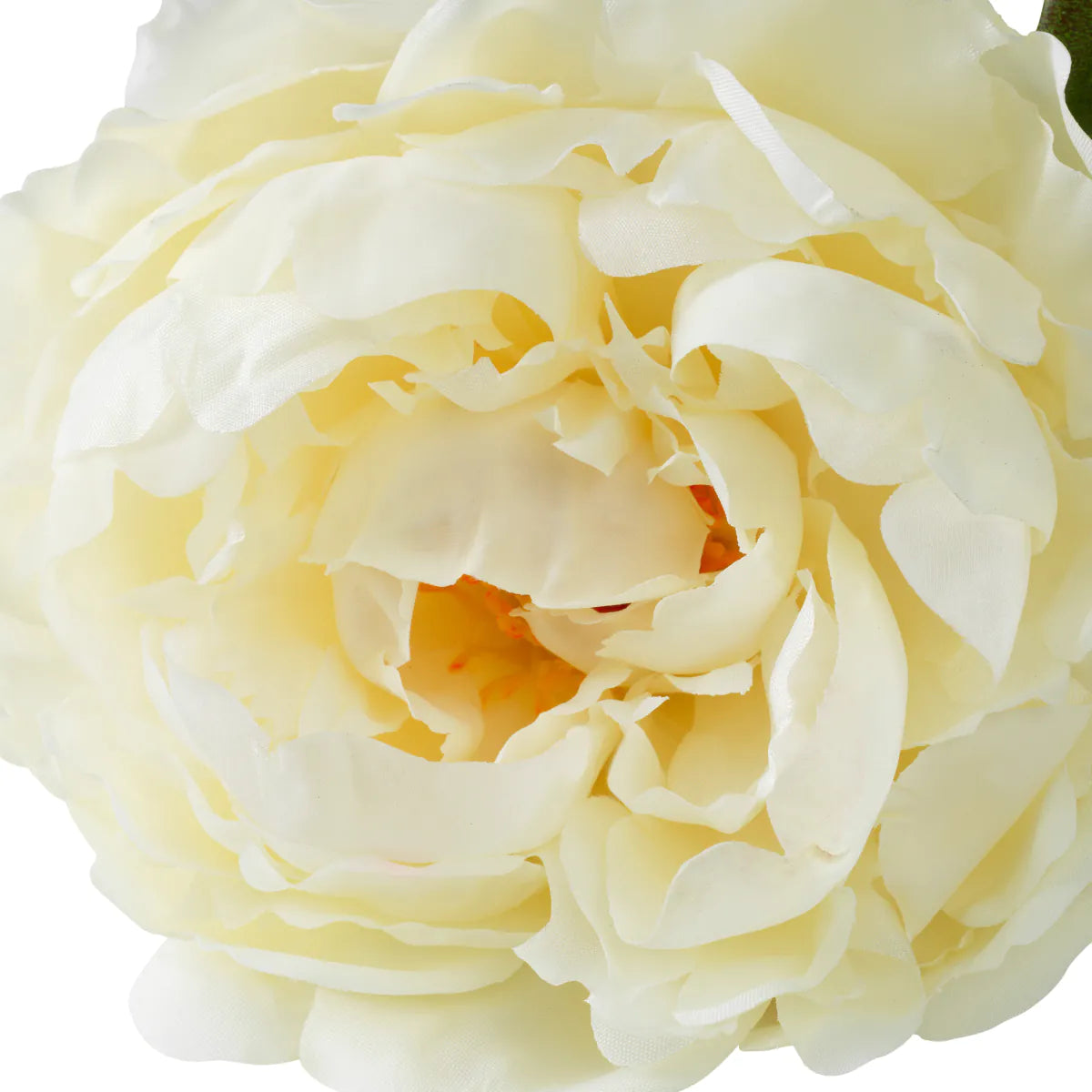 Eichholtz Bouquet Pfingstrosen Rosen 48 Stück weiß
