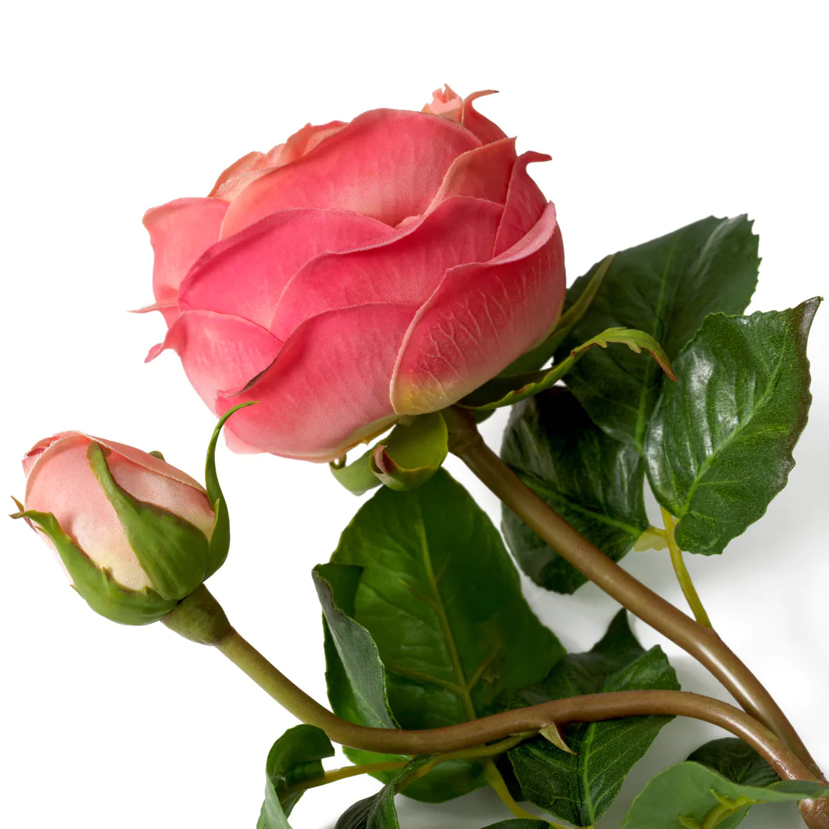 Eichholtz Bouquet Rosen 72 Stück Pfirsich
