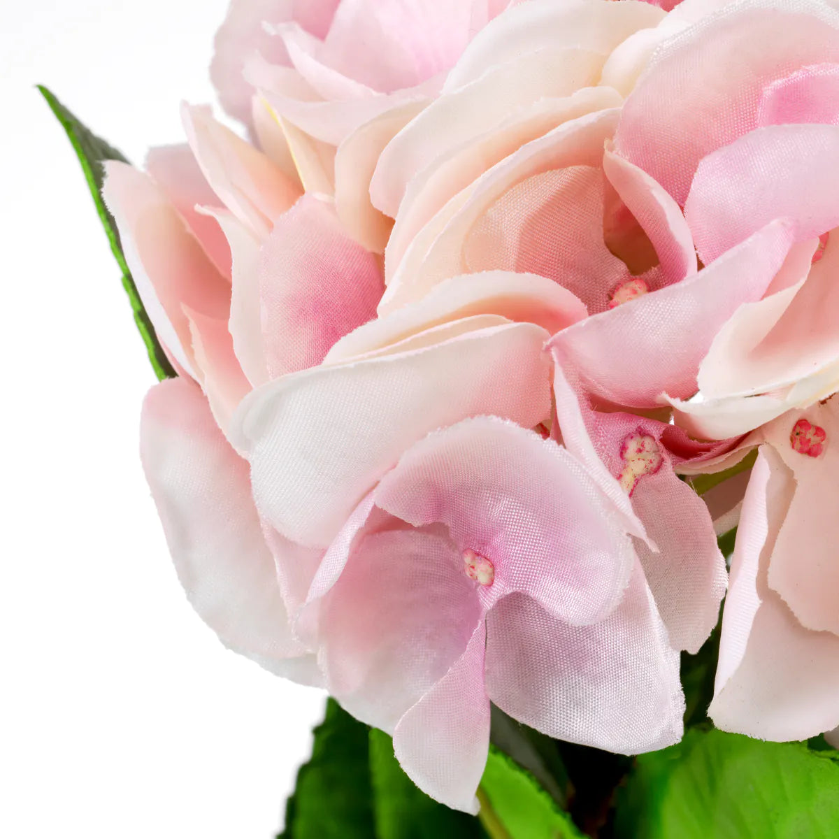 Eichholtz Bouquet Hortensien 48 Stück rosa