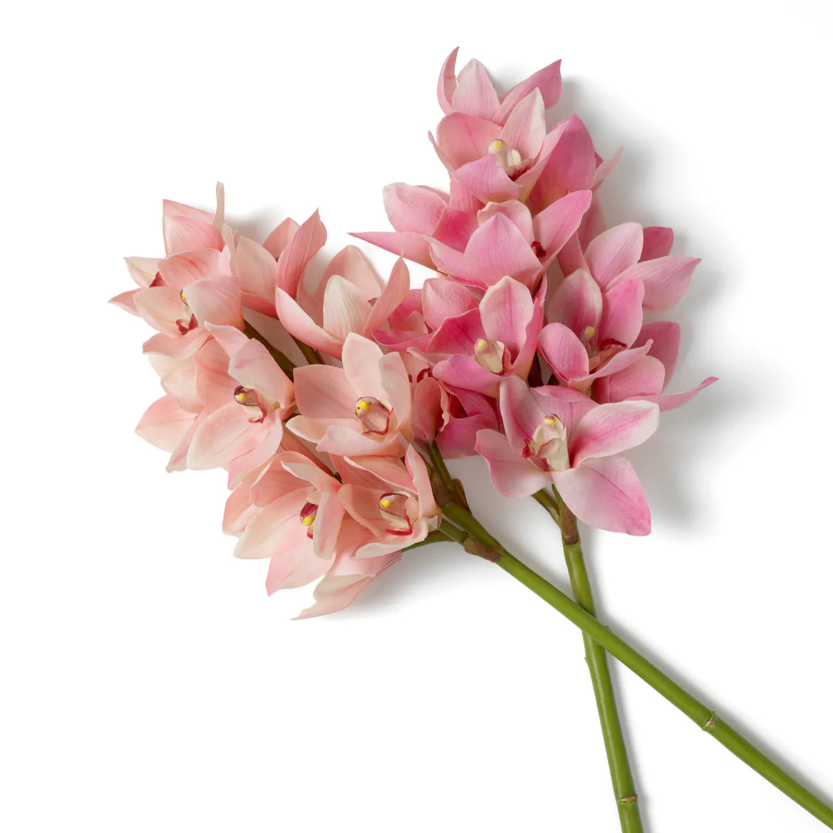 Eichholtz Bouquet Cymbidium-Orchideen 36 Stück