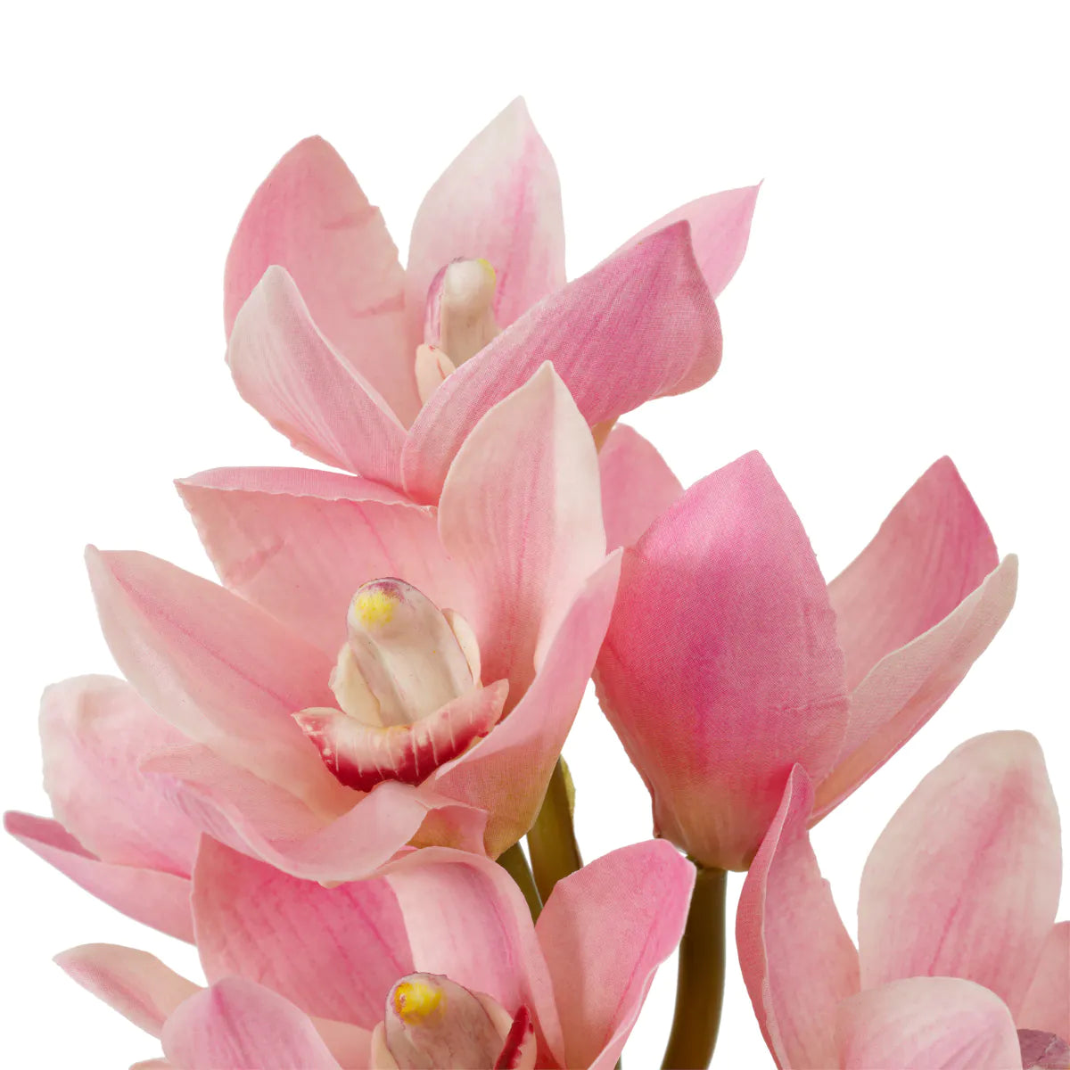 Eichholtz Bouquet Cymbidium-Orchideen 36 Stück