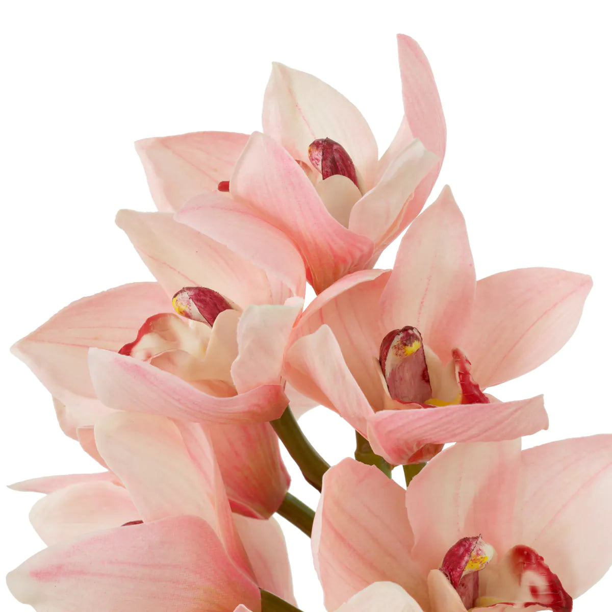 Eichholtz Bouquet Cymbidium-Orchideen 36 Stück