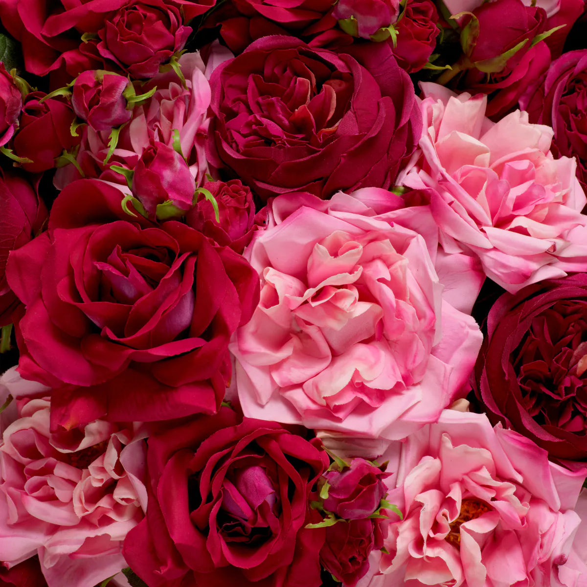 Eichholtz Bouquet Rosen 72 Stück Rosa / 3 Sorten