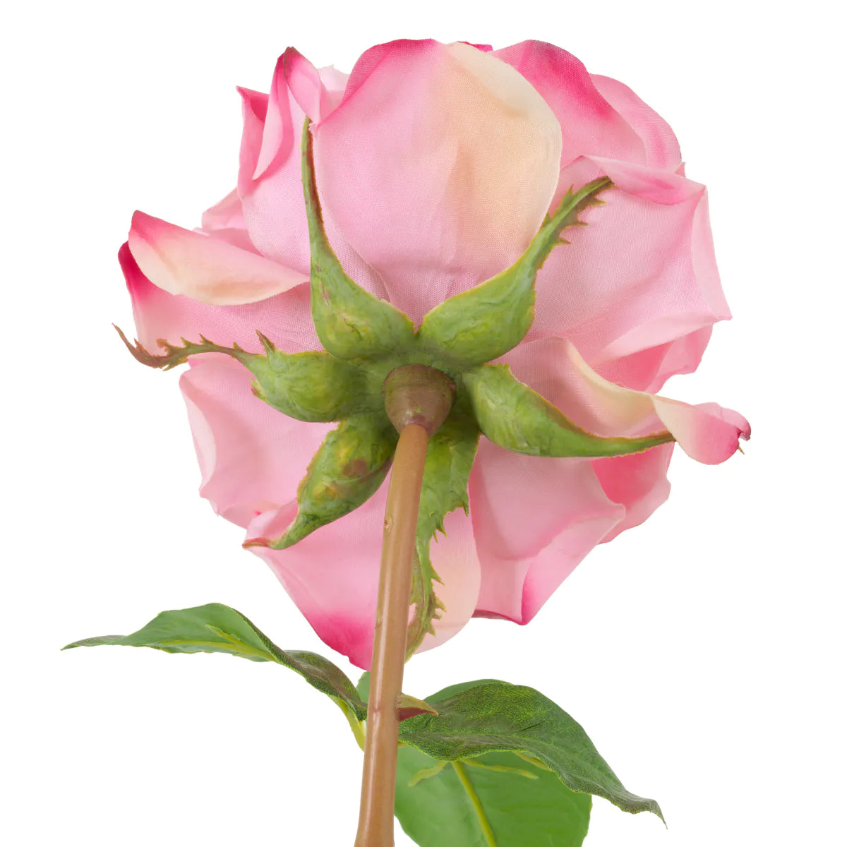 Eichholtz Bouquet Rosen 72 Stück Rosa / 3 Sorten