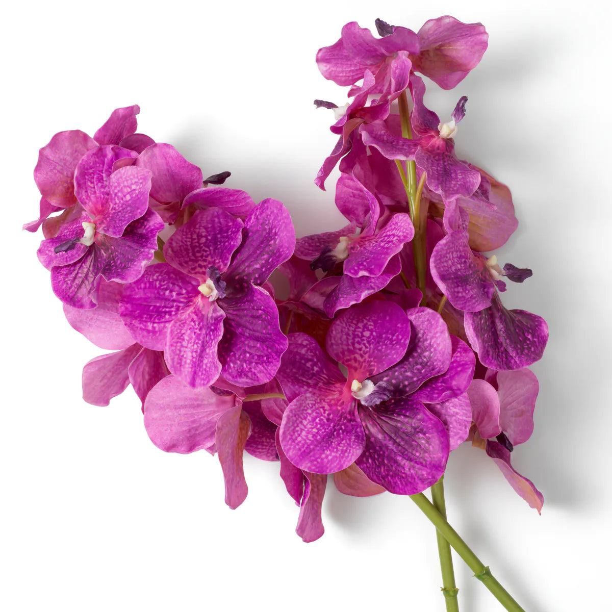 Eichholtz bouquet Vanda Orchids 24 pieces magenta