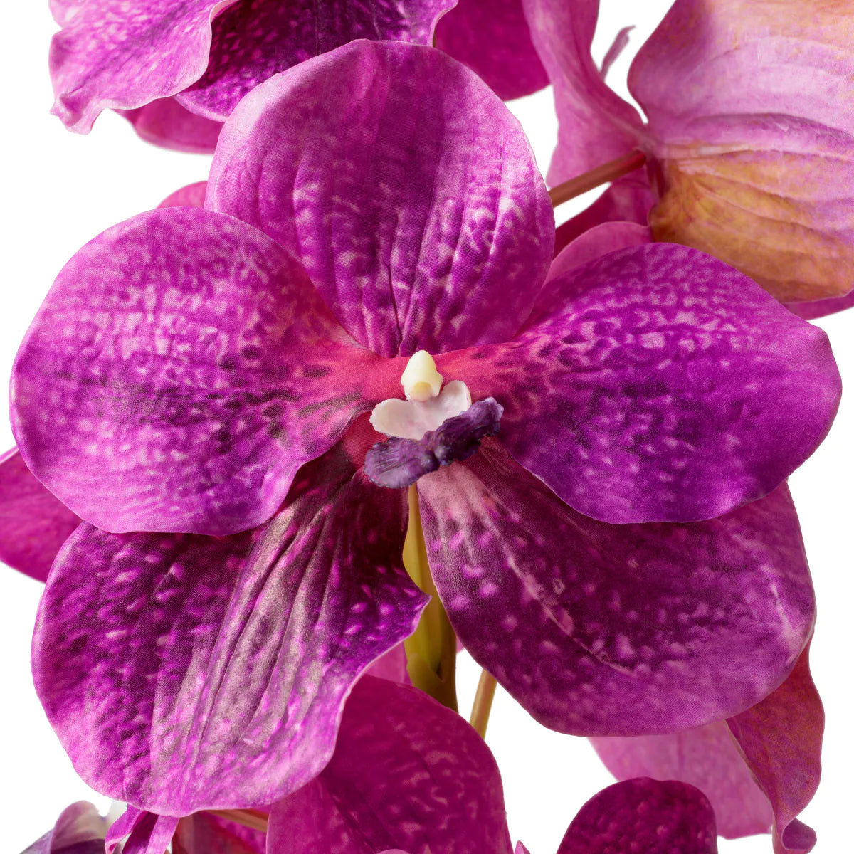 Eichholtz bouquet Vanda Orchids 24 pieces magenta