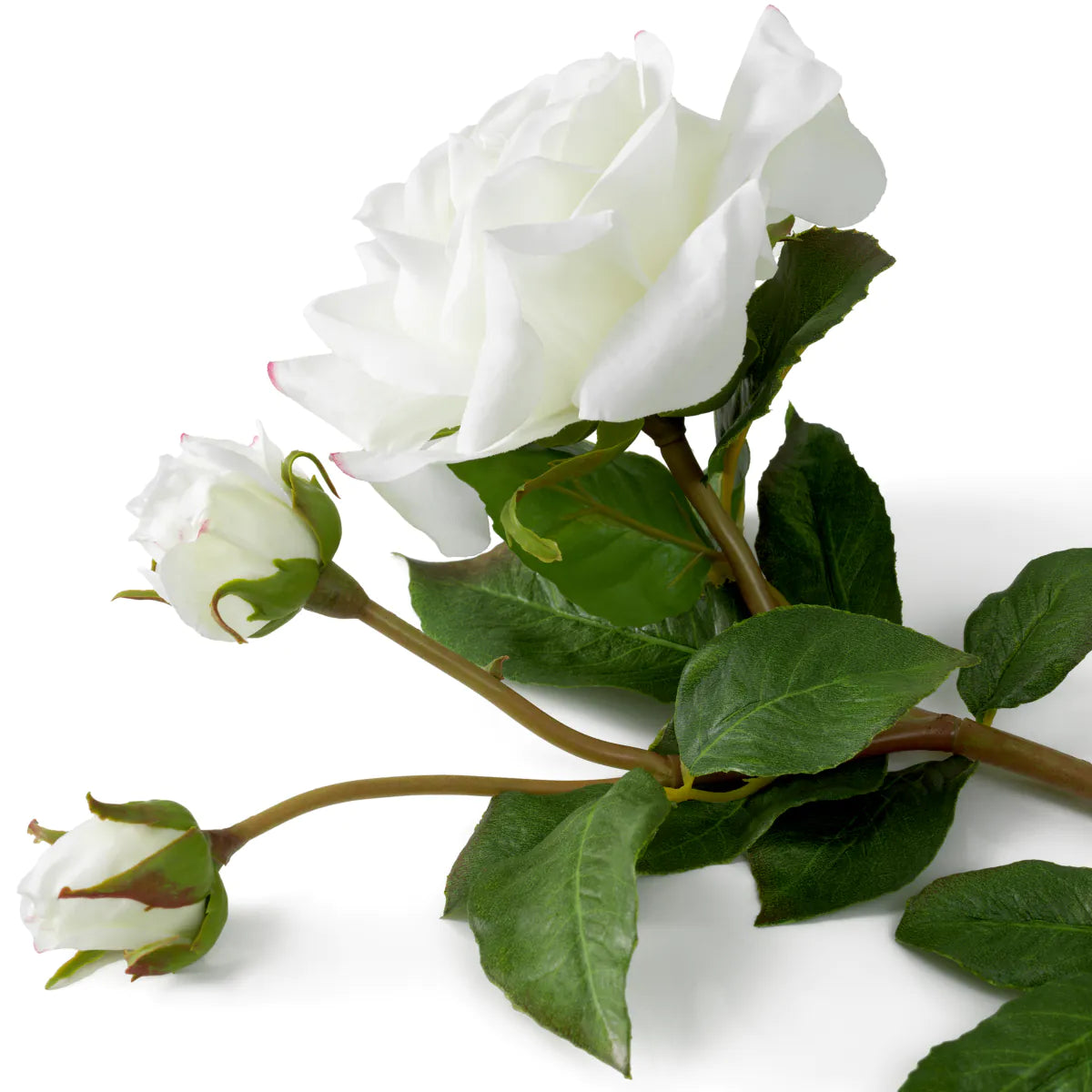 Eichholtz Bouquet Rosen 72 Stück Weiß
