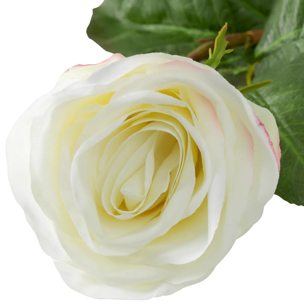 Eichholtz Bouquet Rosen 72 Stück Weiß