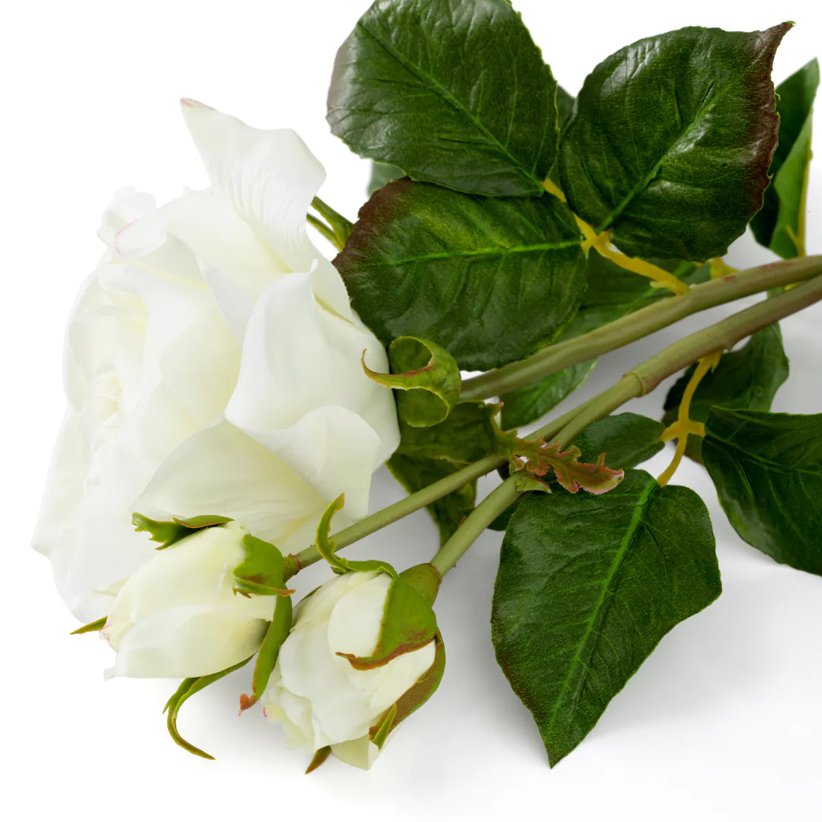Eichholtz Bouquet Rosen 72 Stück Weiß / 3 Sorten