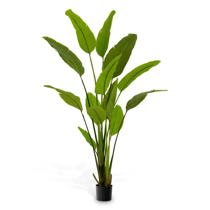 Artificial Plant Strelitzia M-1
