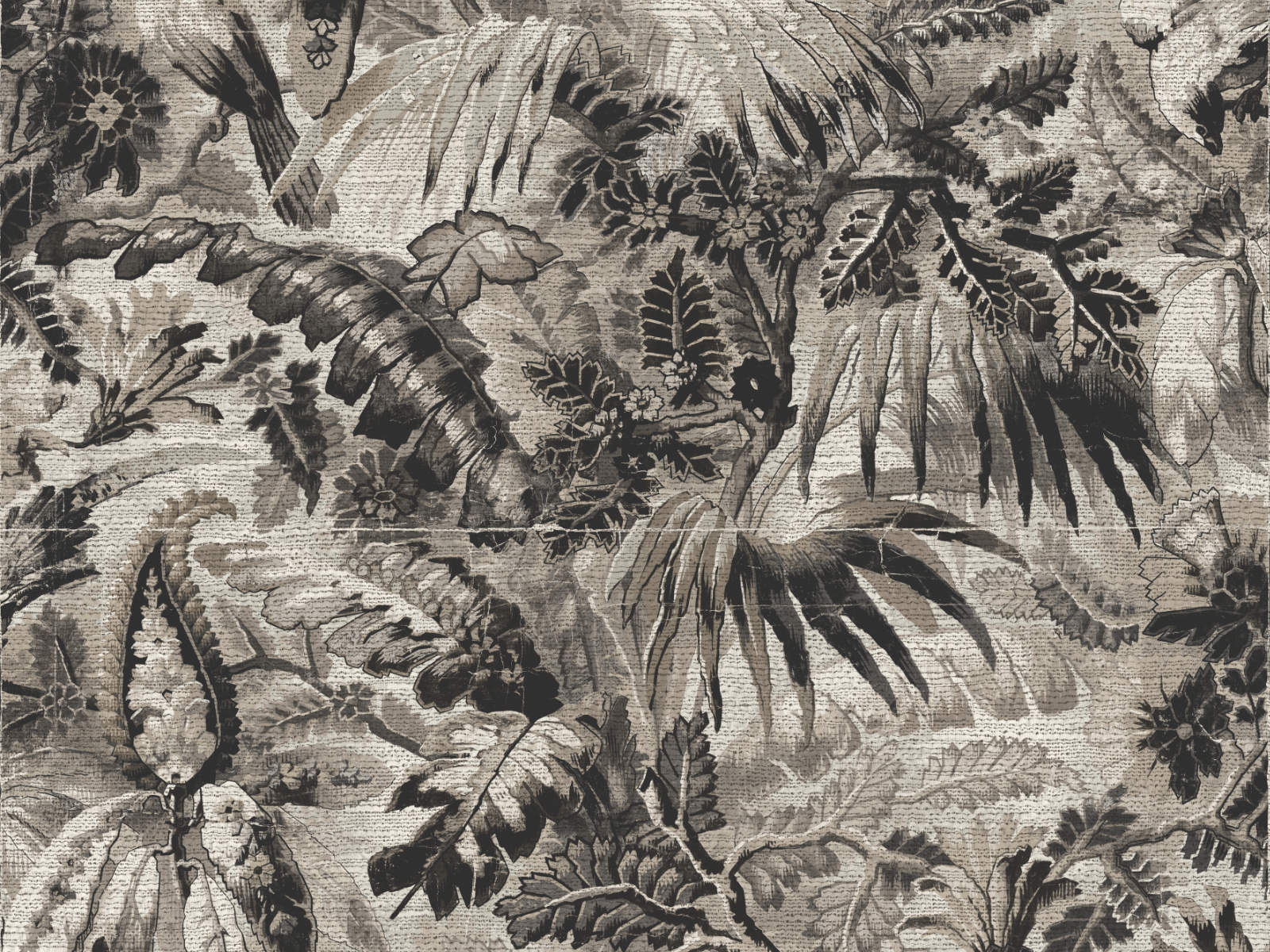 Arte Antigua Tropicali – 33003-photo1