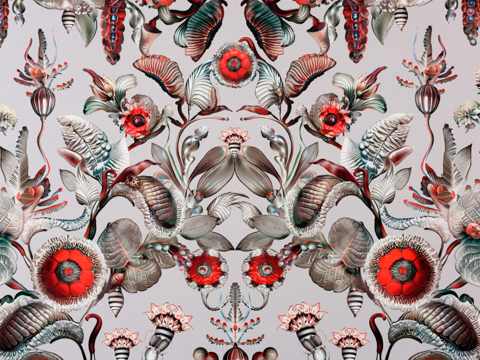 Arte Moooi Green House Coccinella Bella – MO5000-photo1