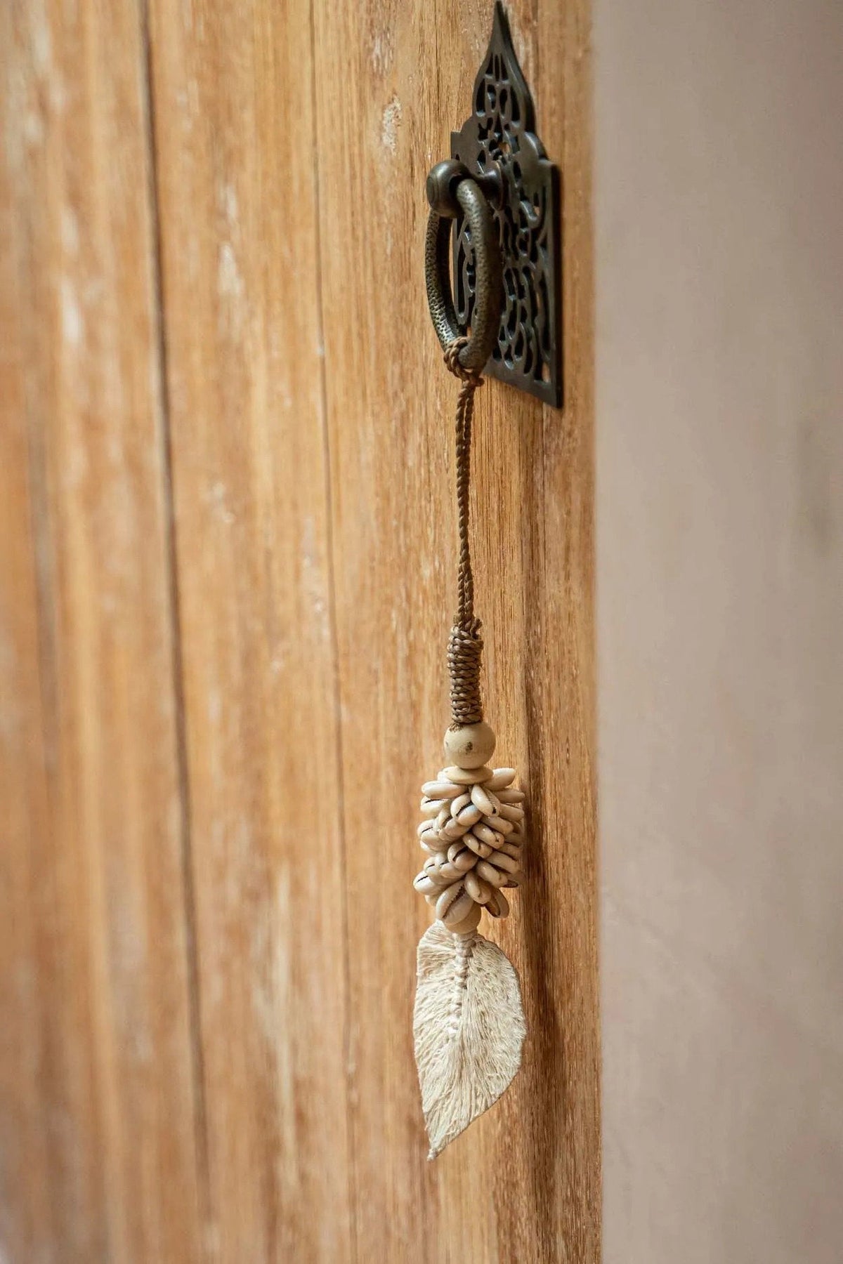 Der Blatt- und Muscheltassel - Natur