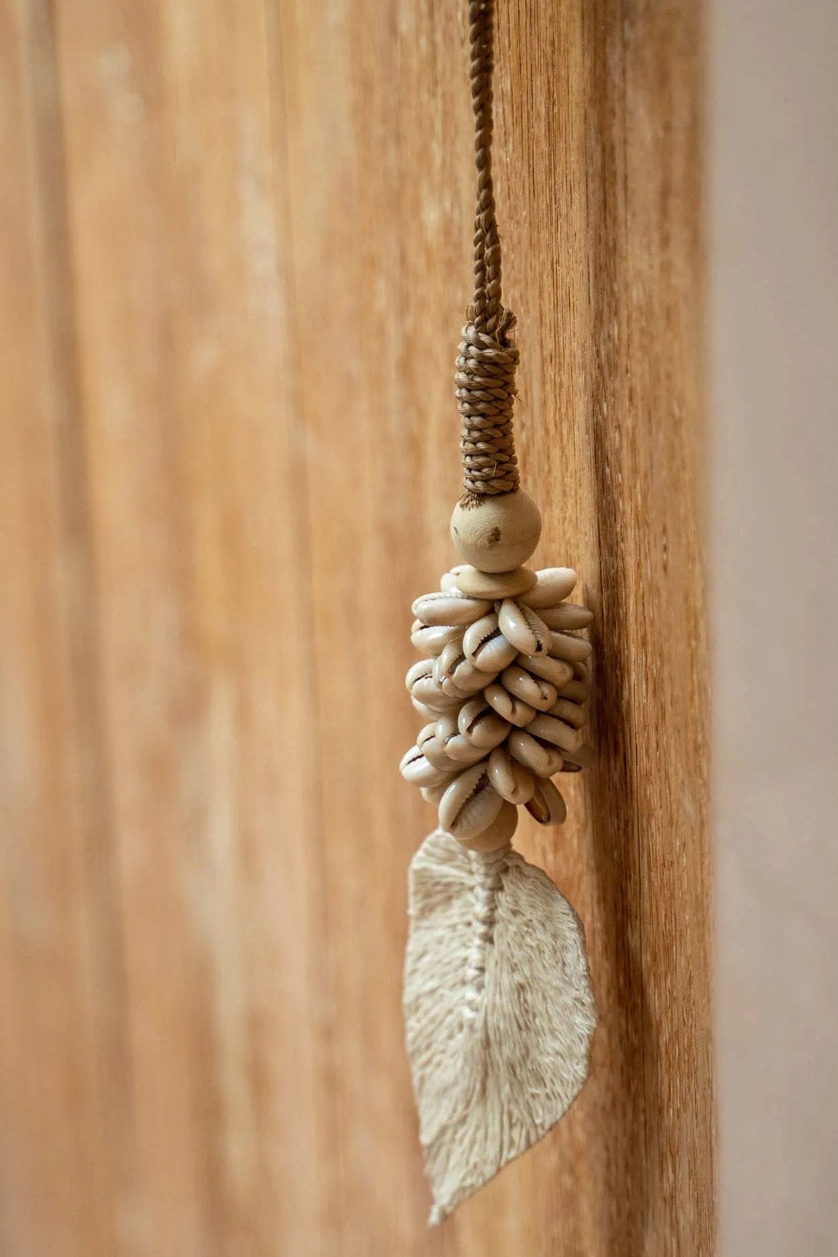 Der Blatt- und Muscheltassel - Natur