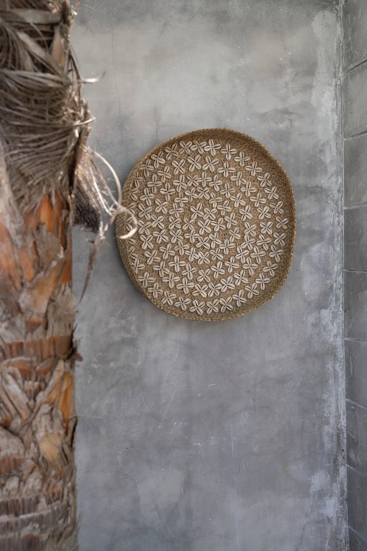 Assiette en coquillage Costa - Blanc naturel - M
