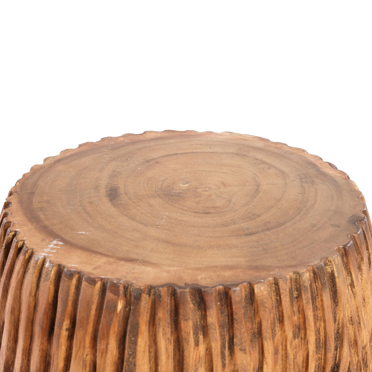 Der Celebes-Hocker - Natur
