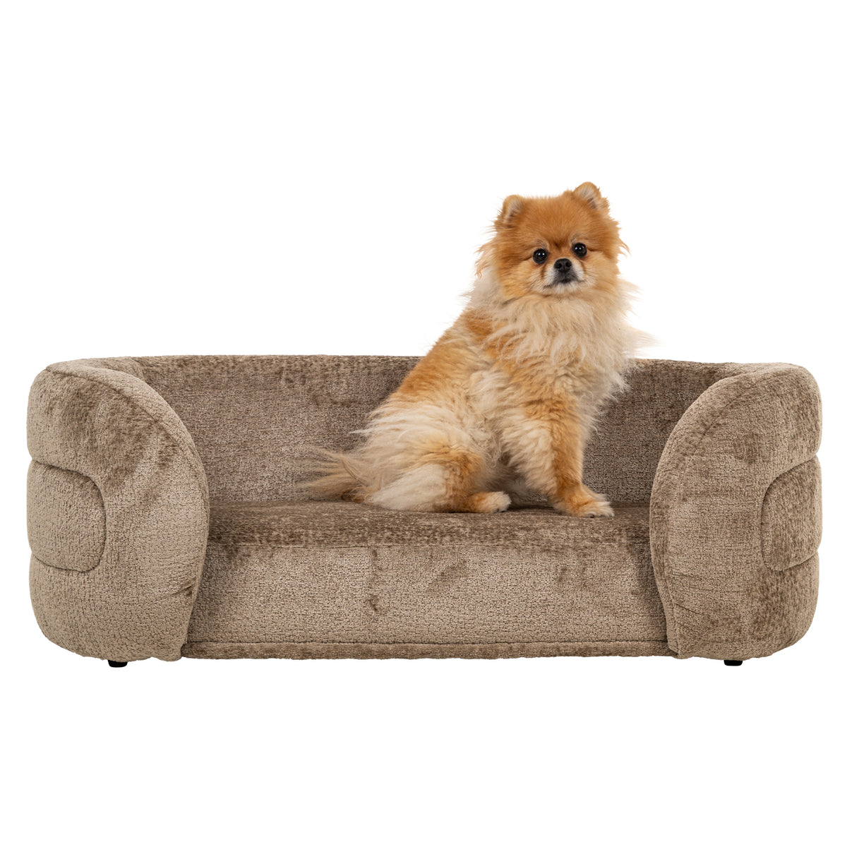 Panier pour chien Bingo taupe en chenille
