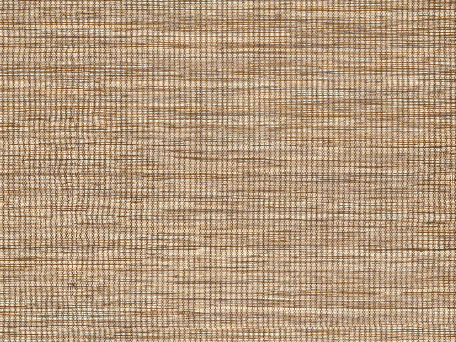 Arte Pampas Sombra – 73545-photo1
