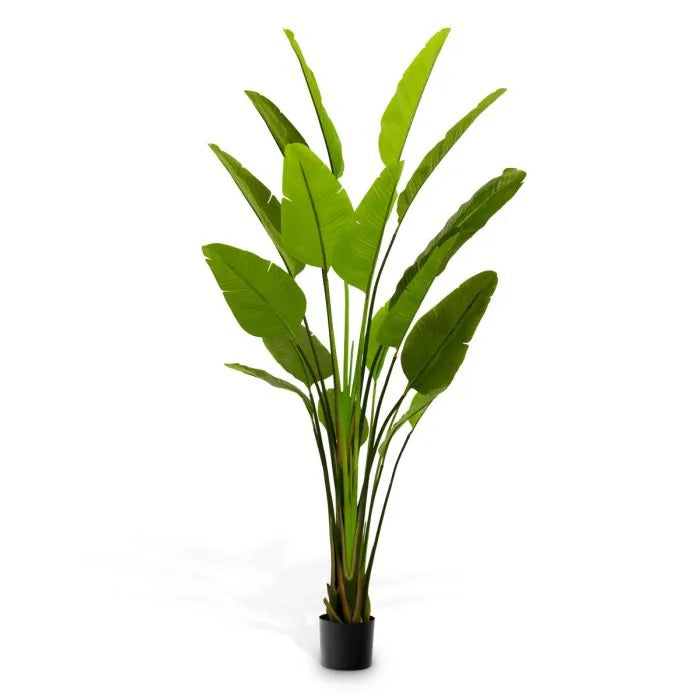 Kunstpflanze Strelitzia L