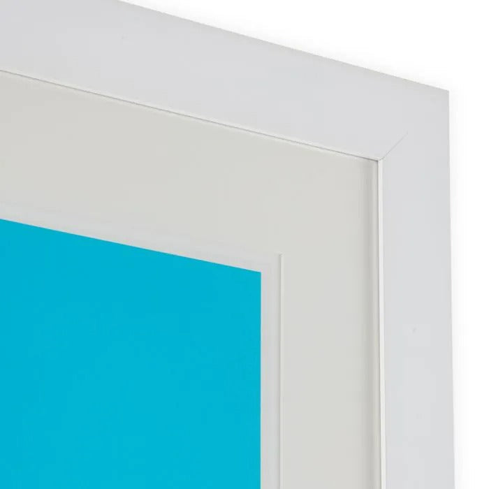 Print Silkscreen from Boissière II by Henri Boissi-3