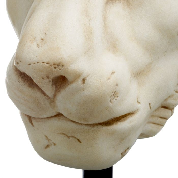 Object Lion-7
