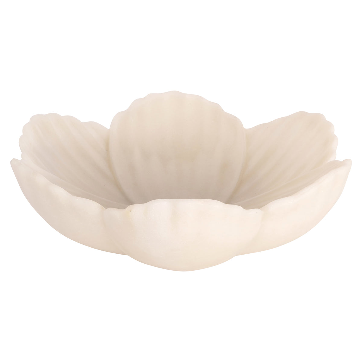 Coupe Xena blanche S