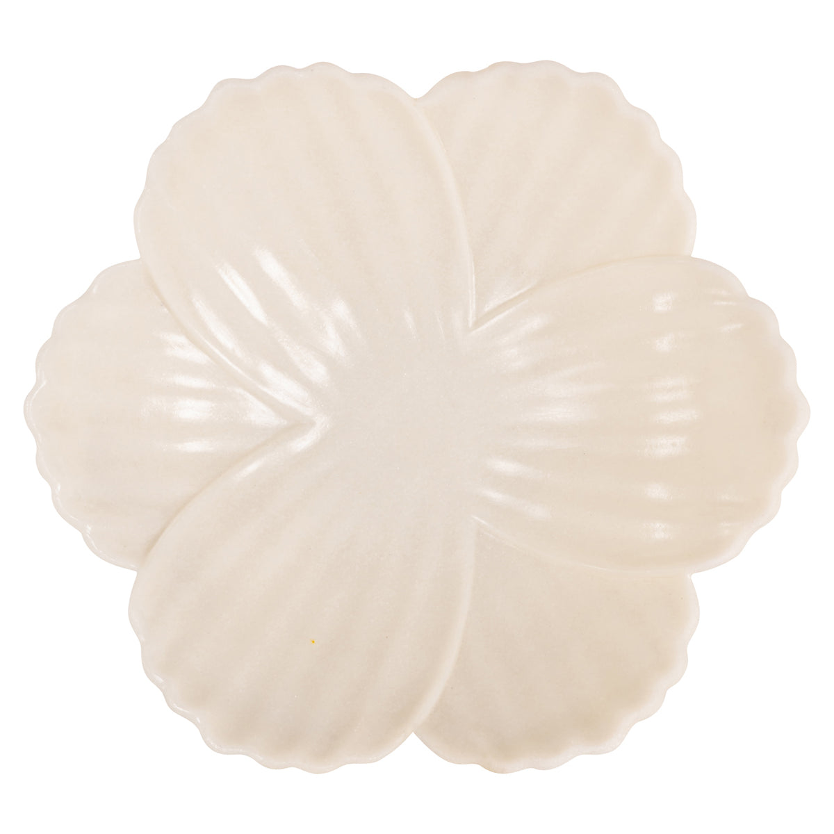 Coupe Xena blanche S