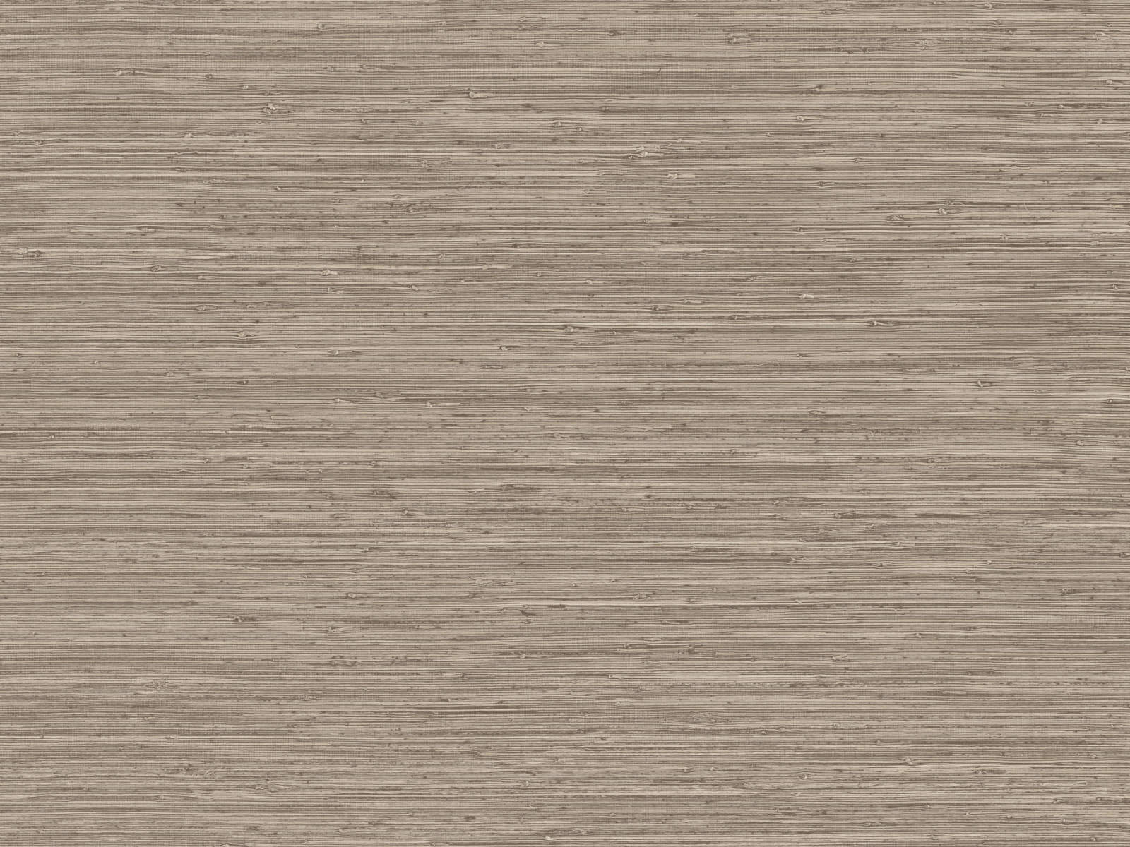 Arte Pampas Matiz – 73527-photo1
