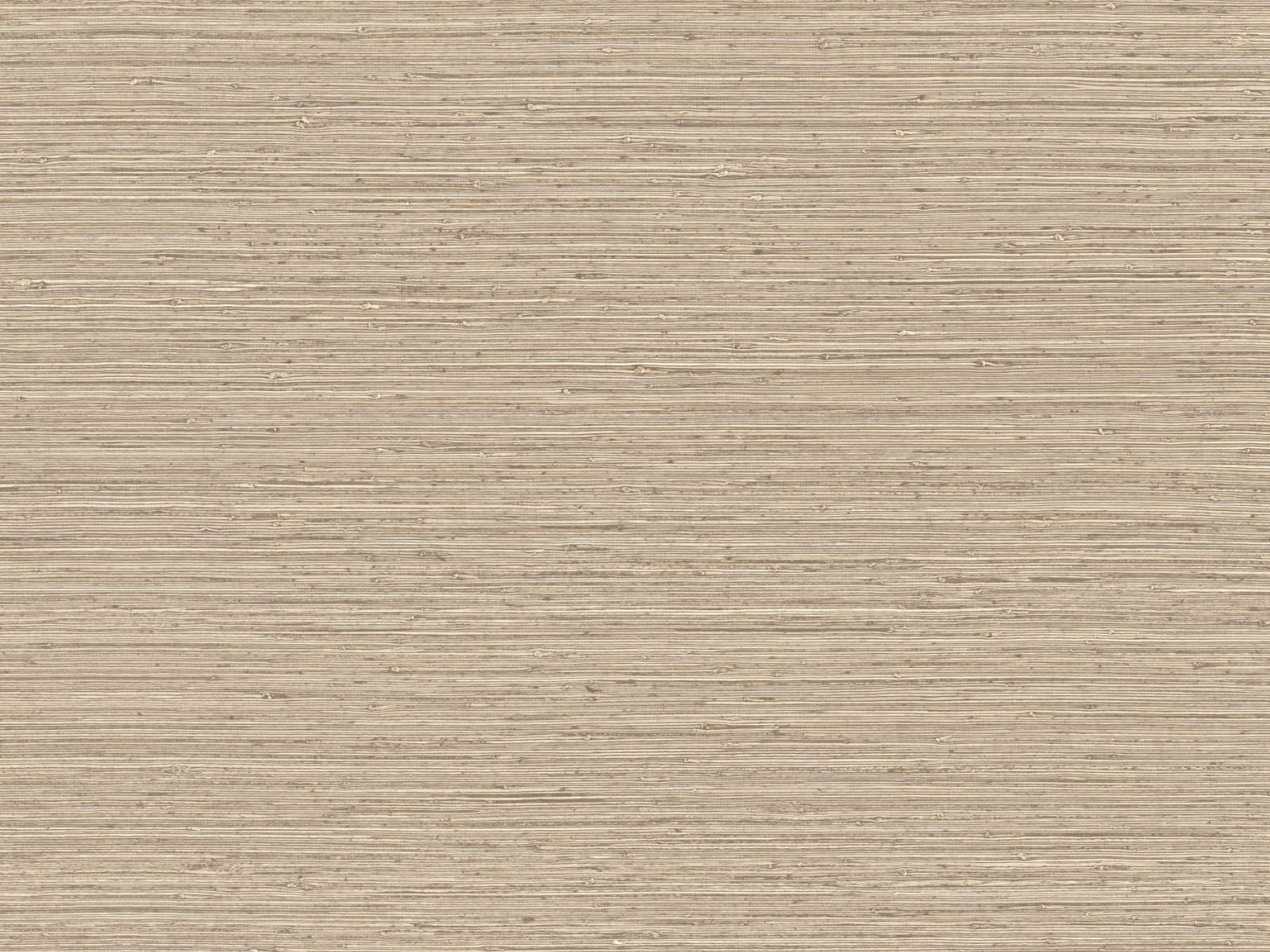 Arte Pampas Matiz – 73522-photo1