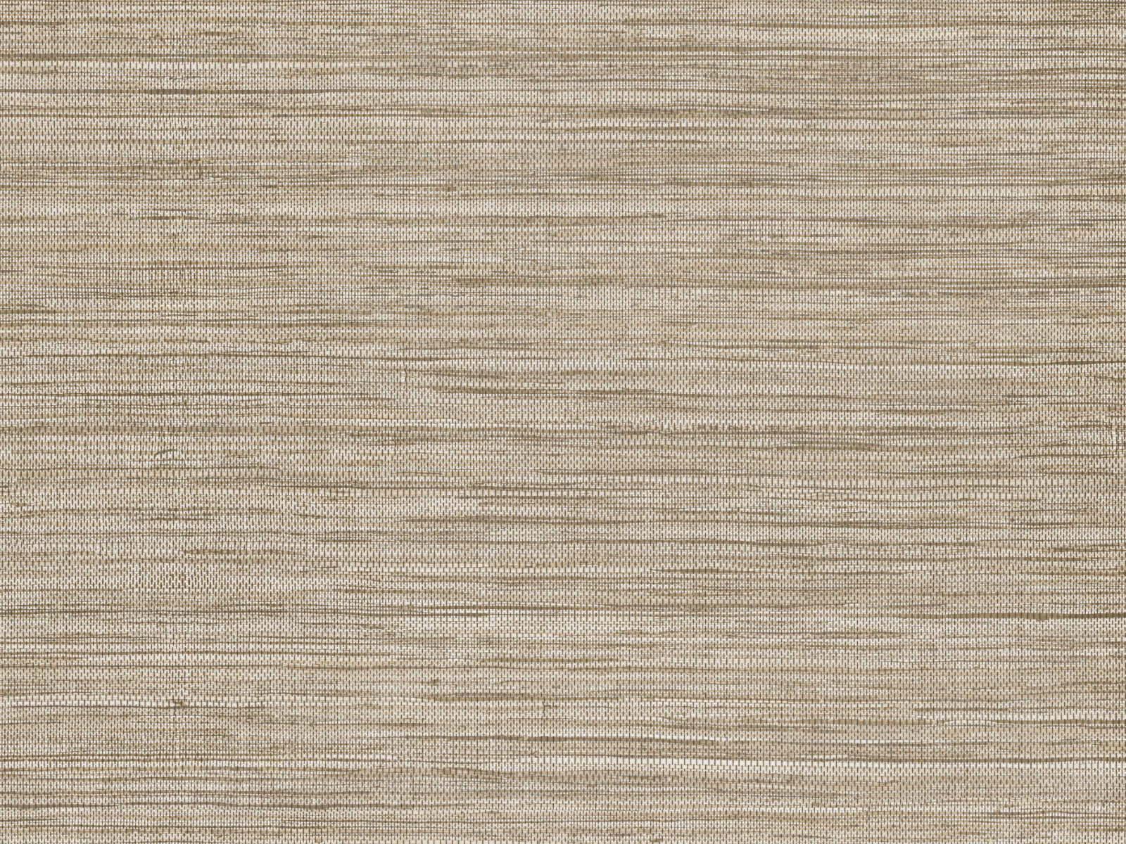 Arte Pampas Sombra – 73542-photo1