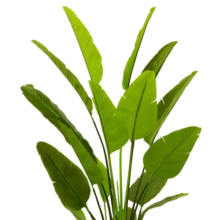 Artificial Plant Strelitzia L-3