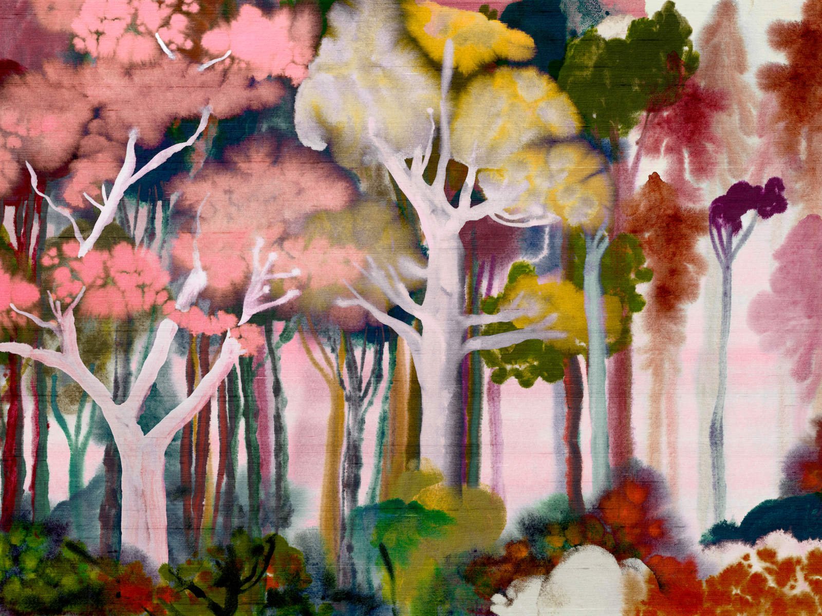 Arte Alaya Banyan – 11530-photo1