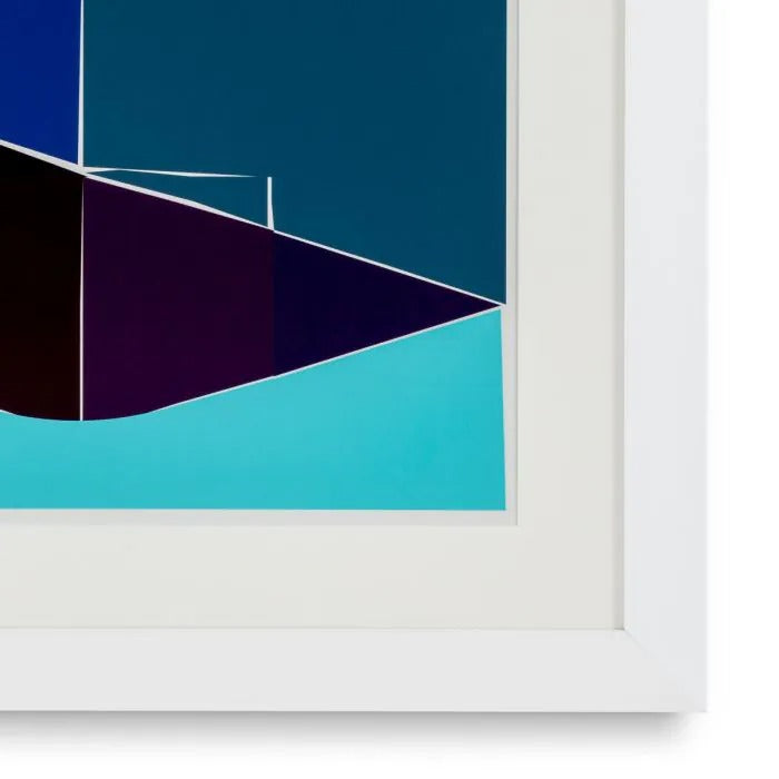 Print Silkscreen from Boissière I by Henri Boissiè-4