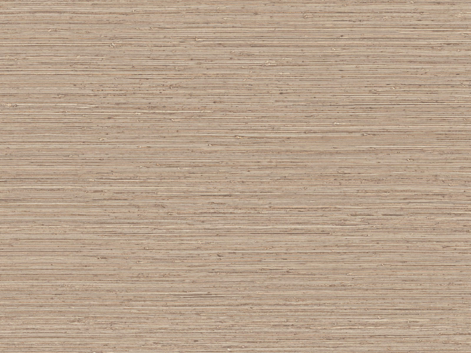 Arte Pampas Matiz – 73524-photo1