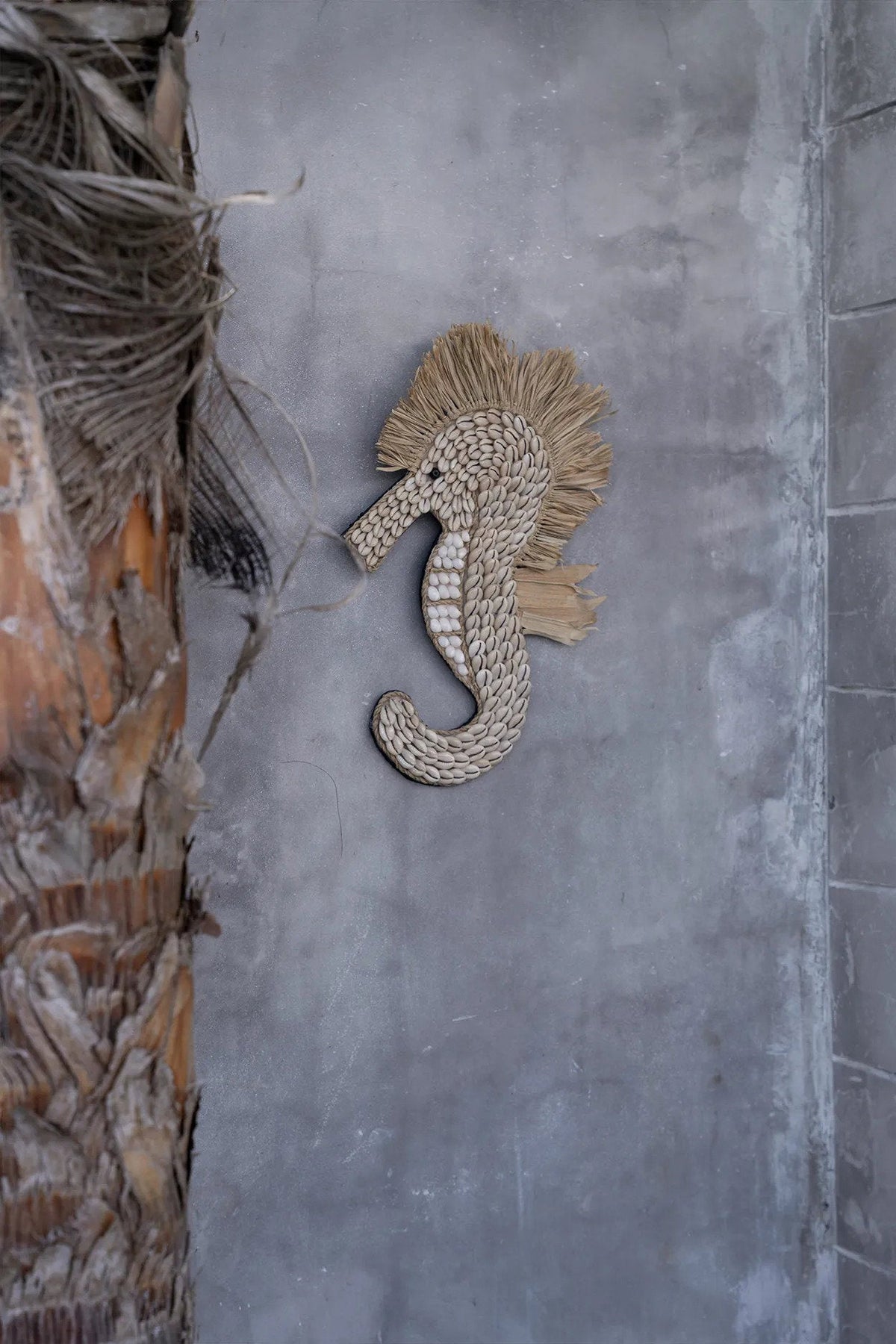 Hippocampe en coquillage - Blanc