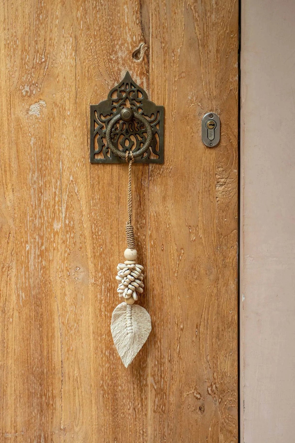 Der Blatt- und Muscheltassel - Natur