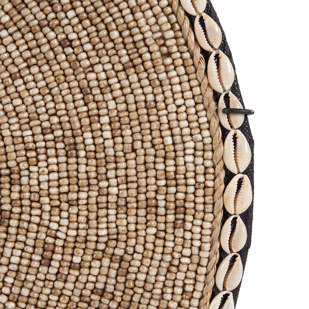 Coquillage Guadeloupe sur pied - Blanc naturel