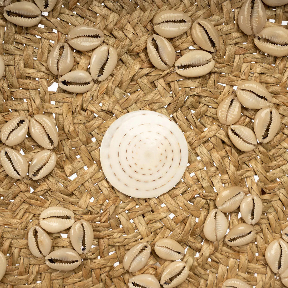 Der Caribe-Muschelteller - Natur-Weiß - M