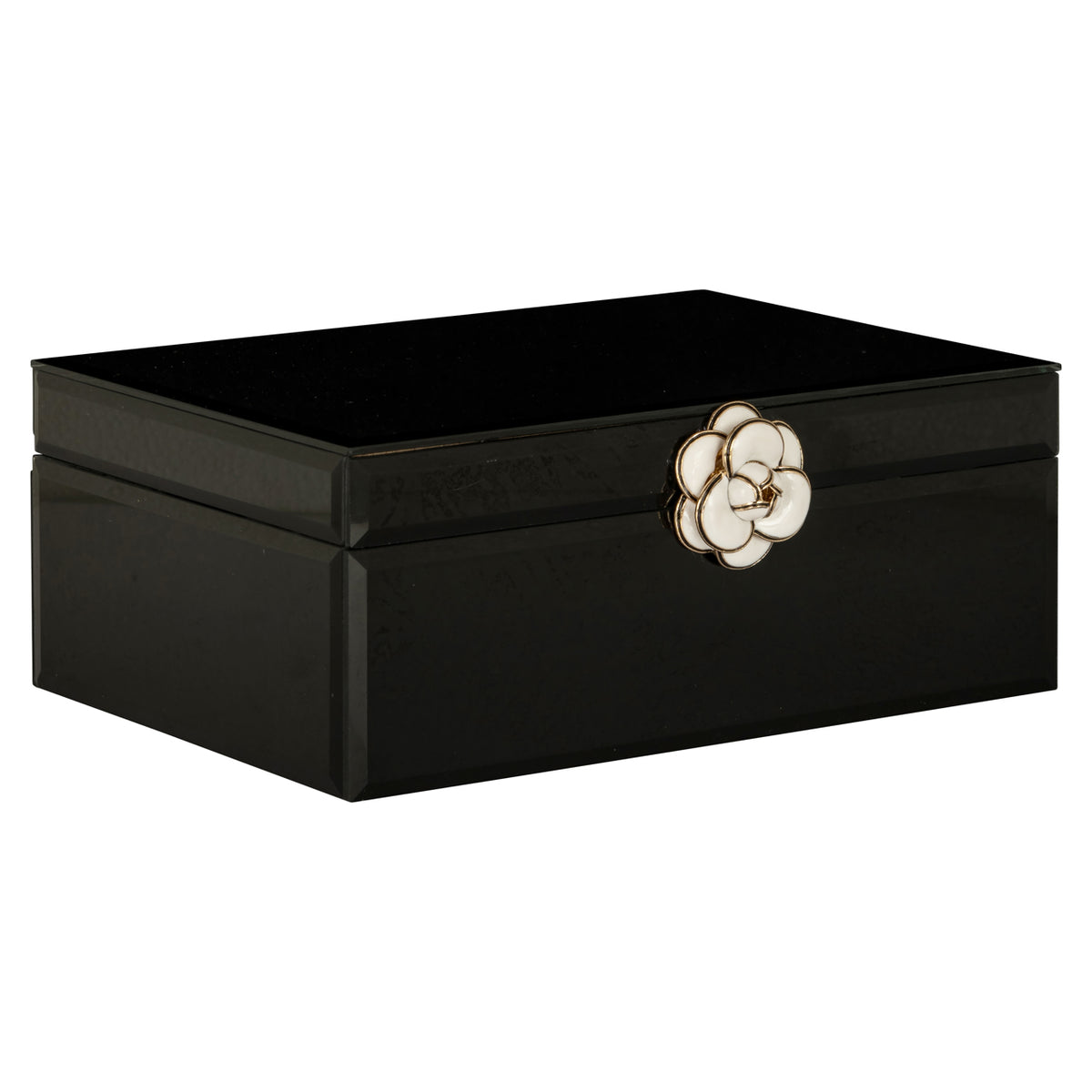 Vivy black large storage box