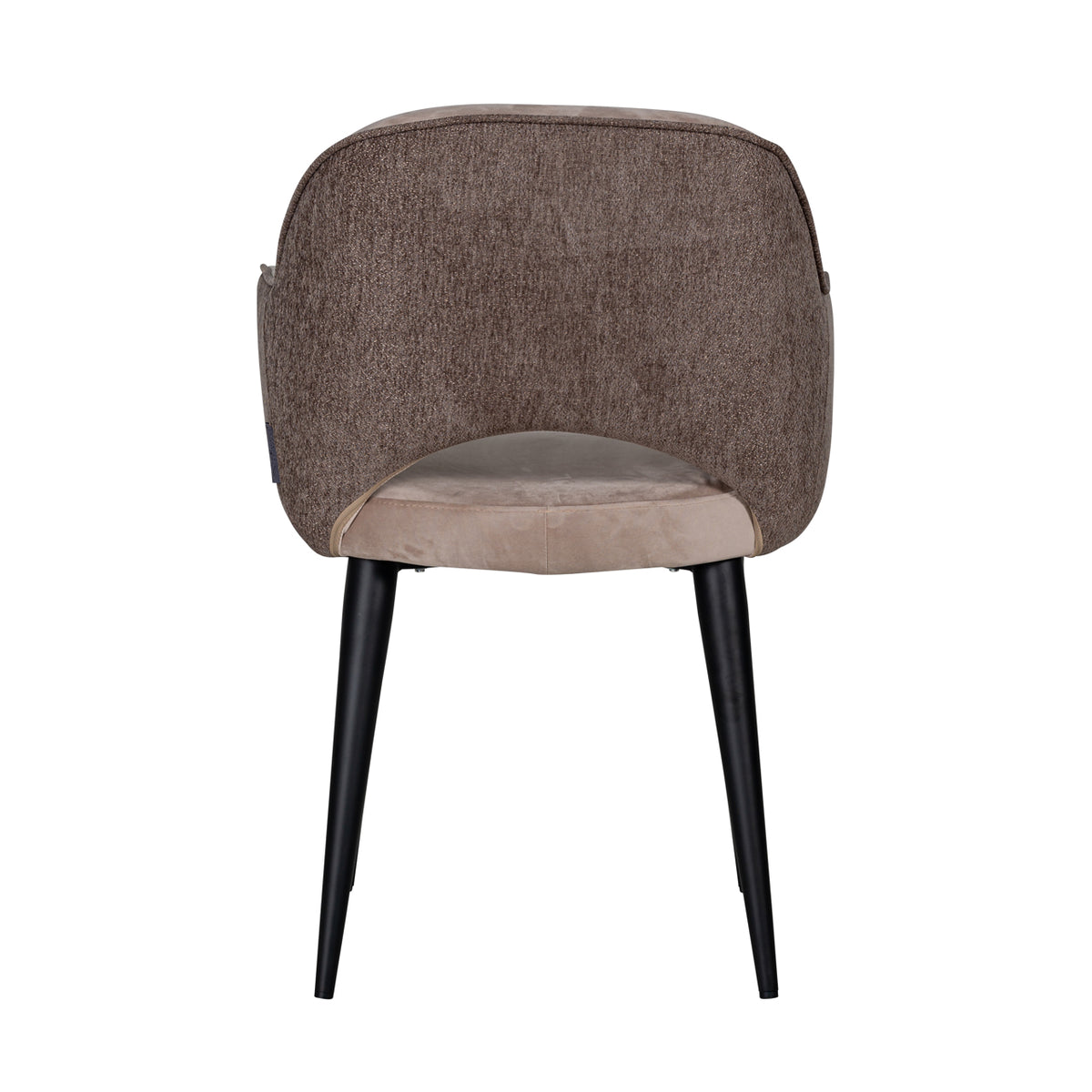 Giovanna dining chair alaska stone