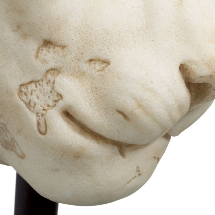 Object Lion-6