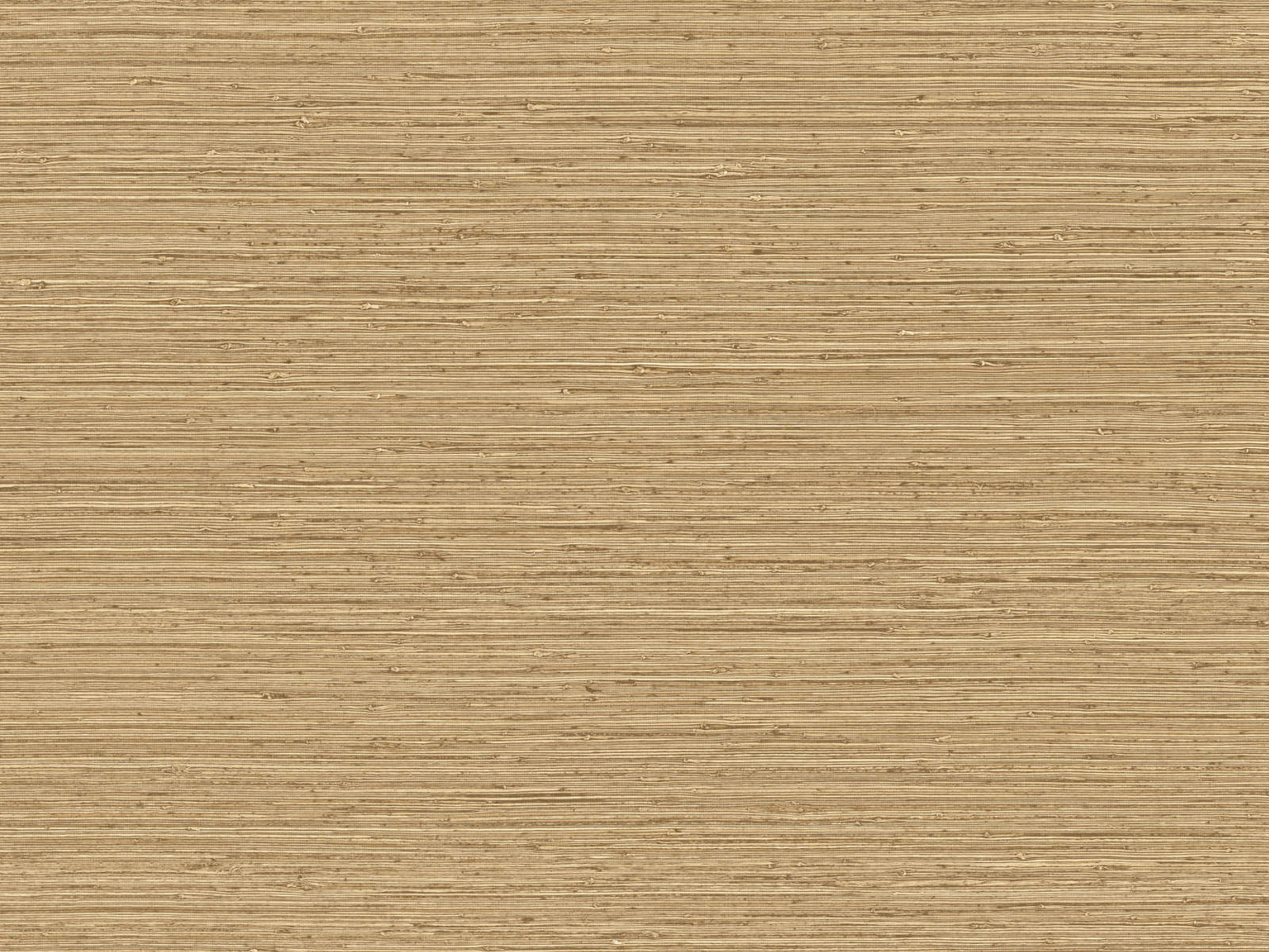 Arte Pampas Matiz – 73525-photo1