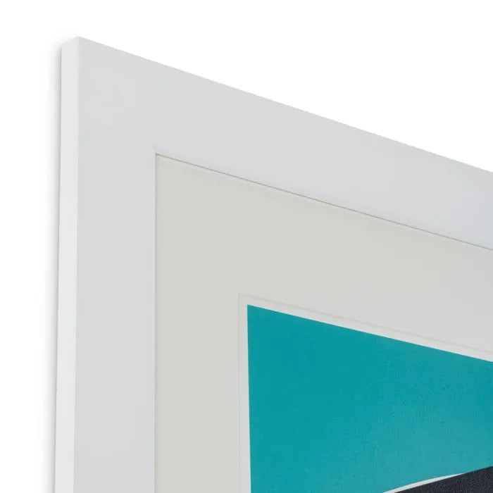 Print Silkscreen from Boissière I by Henri Boissiè-2