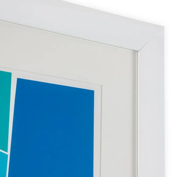 Print Silkscreen from Boissière I by Henri Boissiè-3