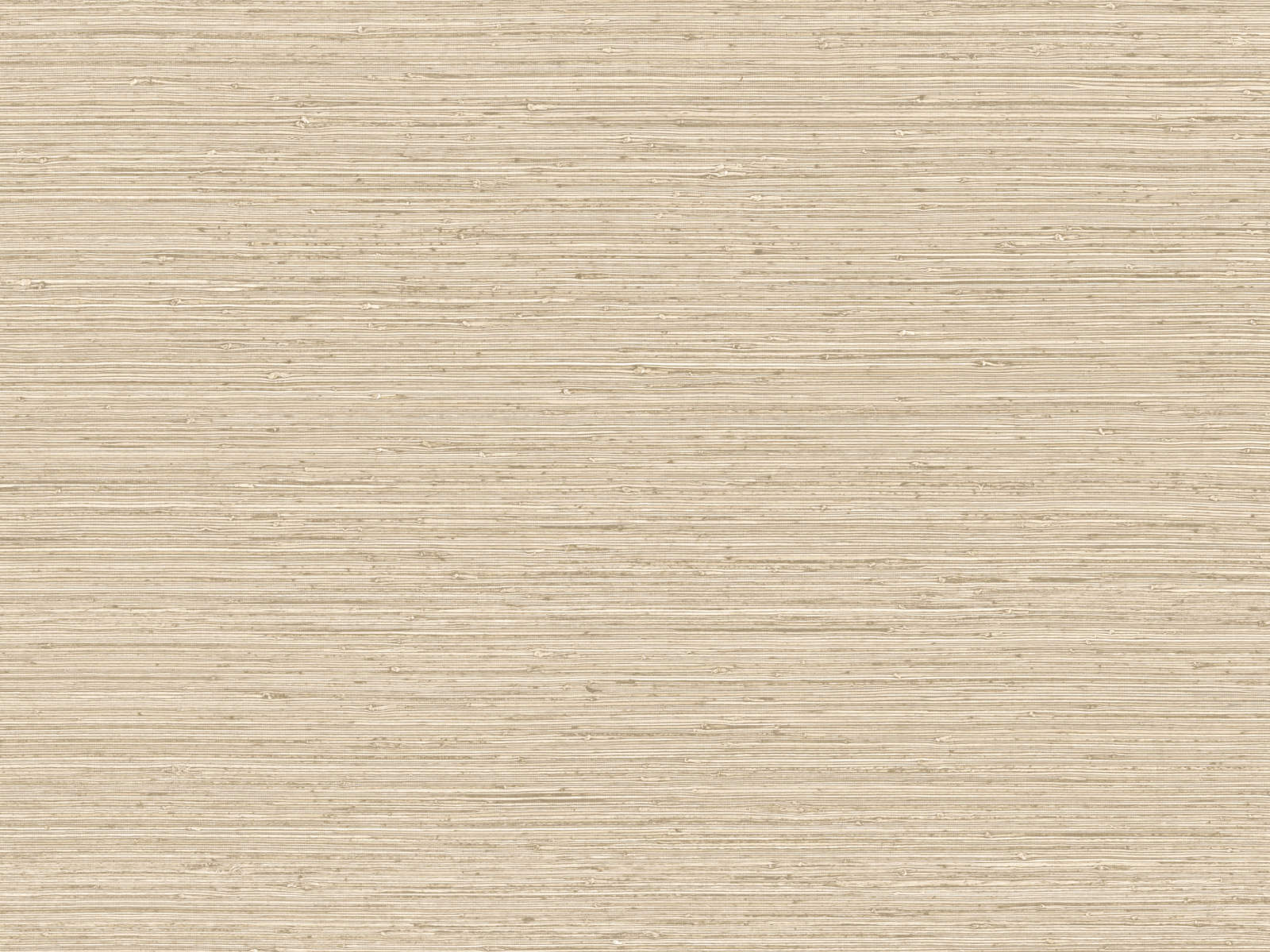 Arte Pampas Matiz – 73521-photo1