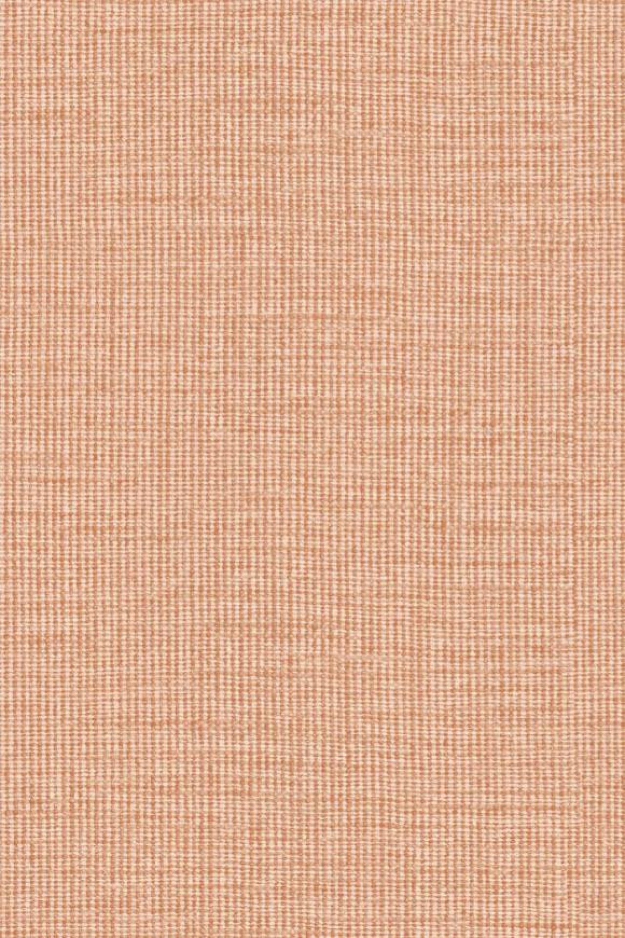 Arte Merino- Lana 63509-photo1
